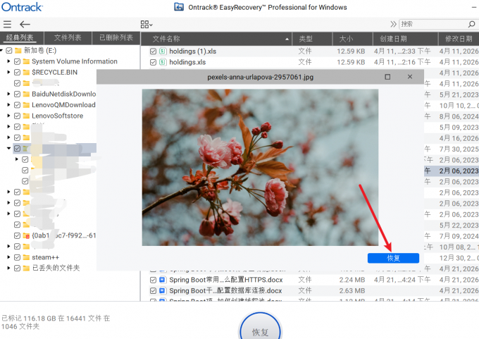 预览恢复的文件