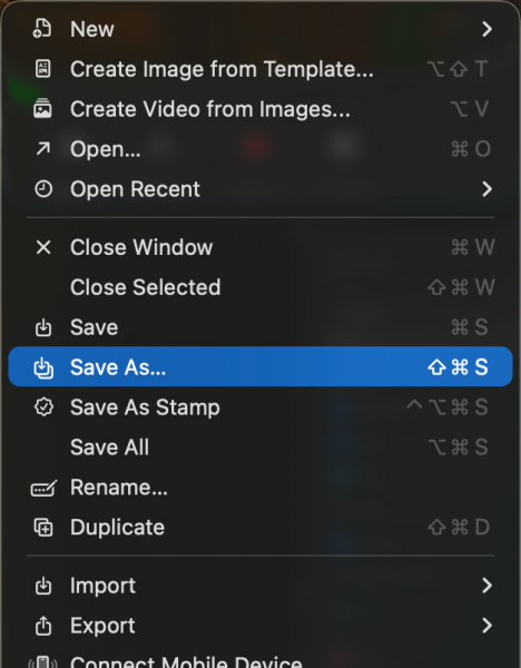 Snagit的文件选项