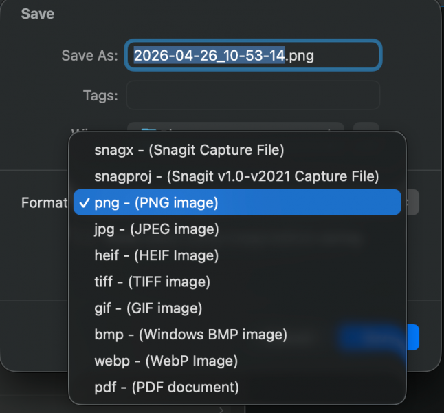 Snagit没法截矢量图