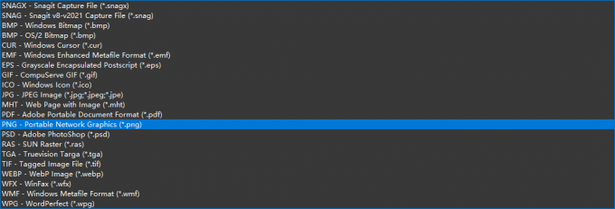 Snagit截图支持很多格式
