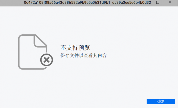 不支持预览
