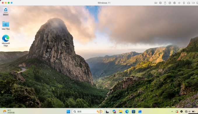 PD虚拟机上运行Windows系统