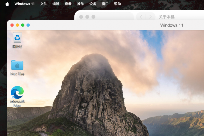 在Mac上运行Windows系统