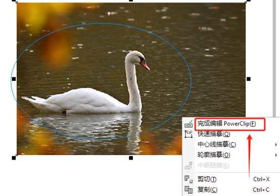 完成编辑PowerClip