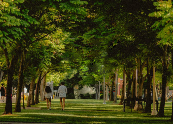 去除水印后图片