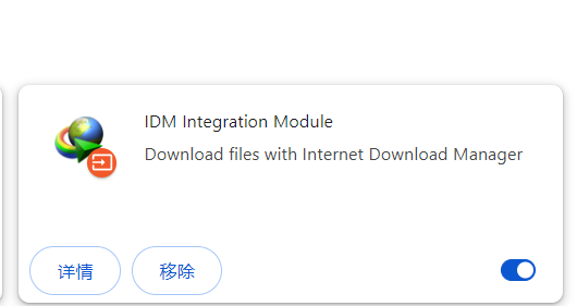 打开idm设置