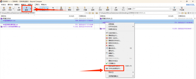 进入文件比较报告界面