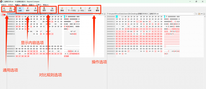 Beyond Compare十六进制视图解析