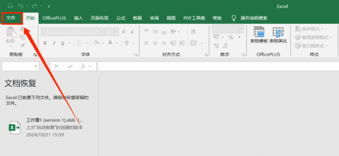 选择“文件”选项