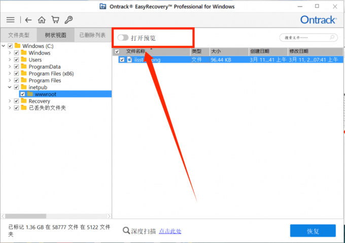 EasyRecovery预览功能