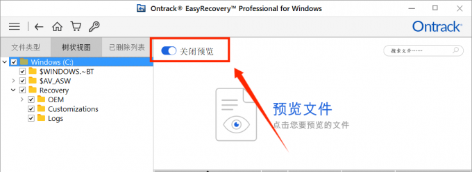EasyRecovery预览功能