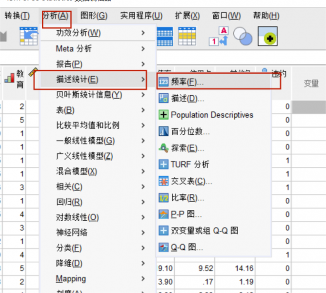 频数分析