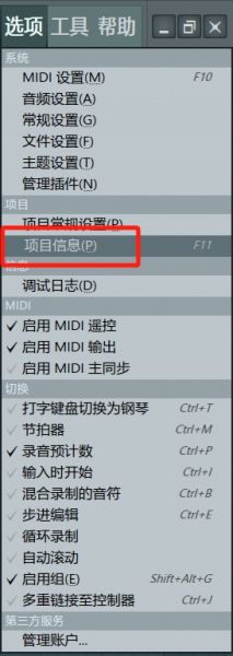 “项目信息”选项