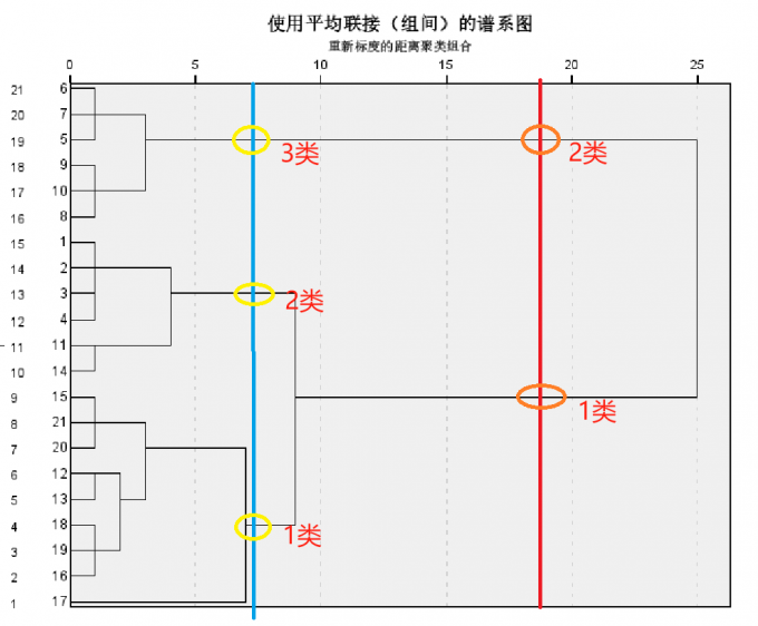 解读谱系图