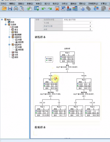 SPSS输出查看器