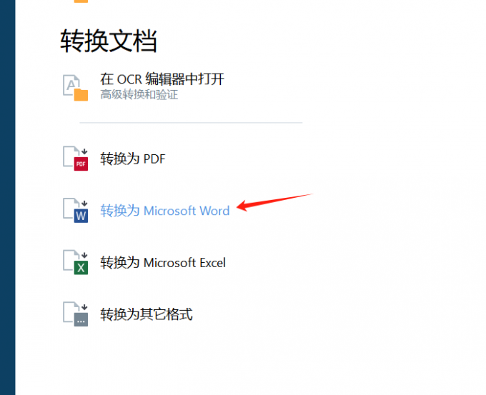 转换为Microsoft Word