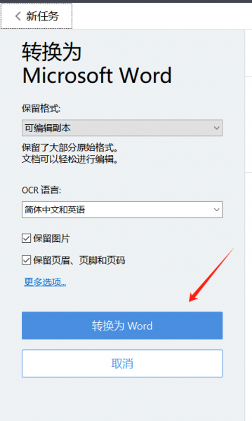 转换为word