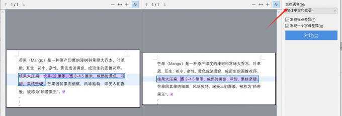 文档语言