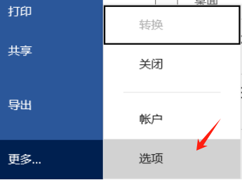 选项