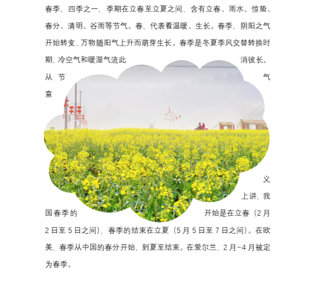 效果展示
